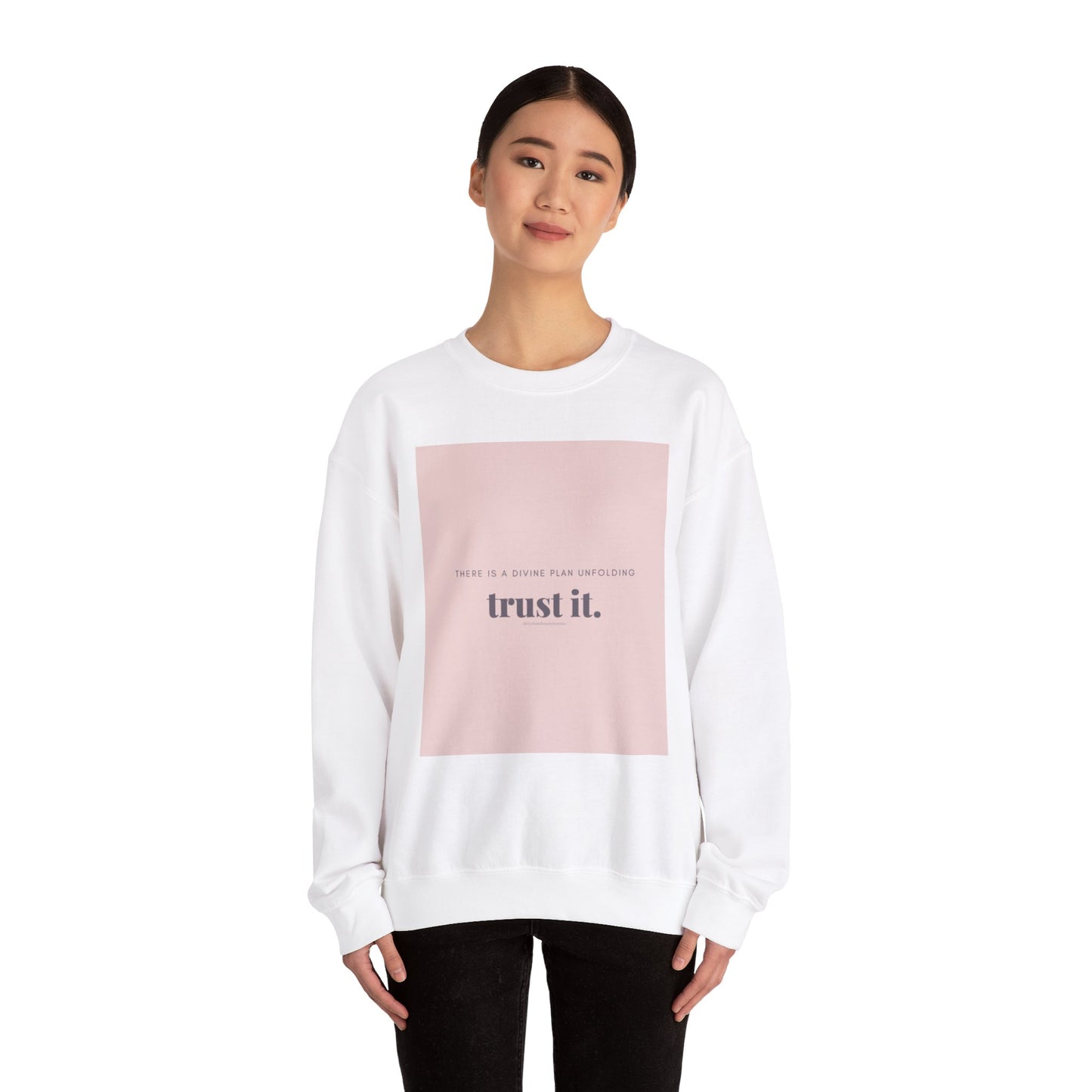 Trust The Plan Unisex Heavy Blend™ Crewneck Sweatshirt